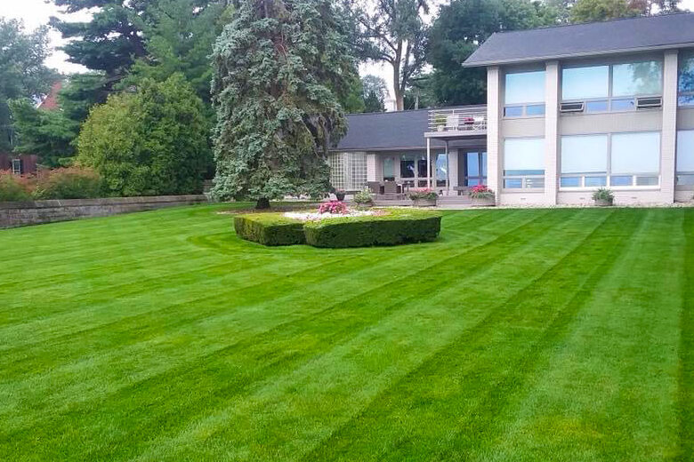 Lawn Maintenance